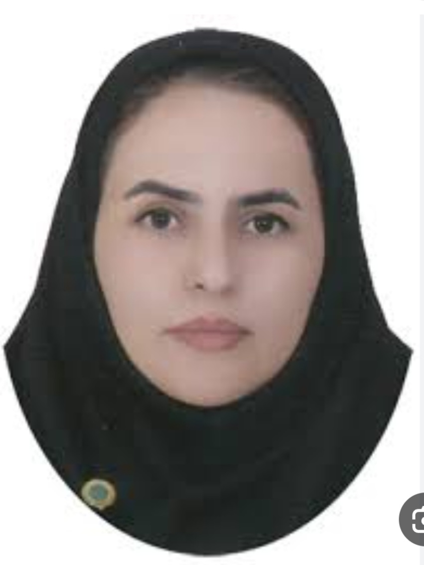 وکیل