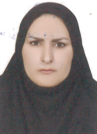 وکیل شهین رضایی بان بید