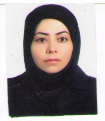 وکیل شیرین شمسواری