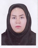وکیل شیما موسوی