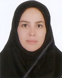 وکیل صاحبه سیار