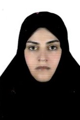 وکیل صدیقه علی پور برزکی