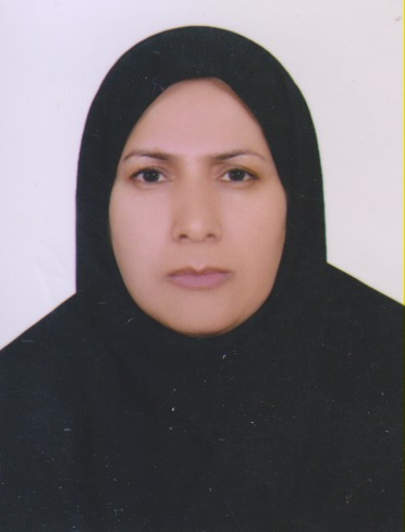 وکیل صغری ابراهیمی