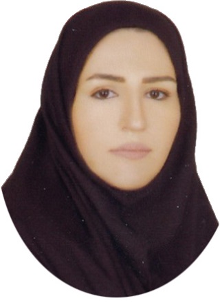 وکیل صفورا رجبی