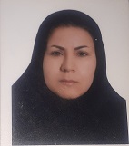 وکیل صفورا صادقی گوغری