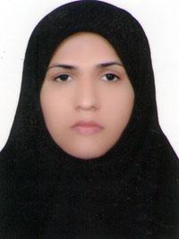 وکیل ط‌یبه‌ سالاری