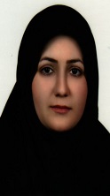 وکیل طاهره صفری