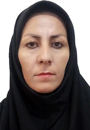 وکیل طرلان عطائی
