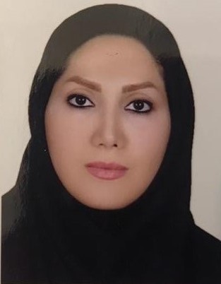 وکیل عاطفه امیرسیف الدینی