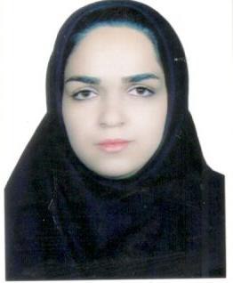 وکیل عالیه سادات میرحسینی