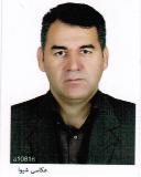 وکیل عبدالناصر گری