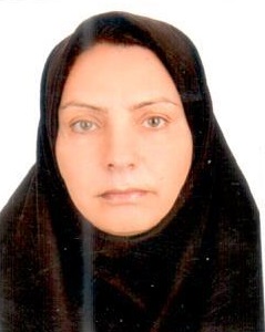 وکیل عزت رمضانی