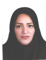 وکیل عفت حسینی