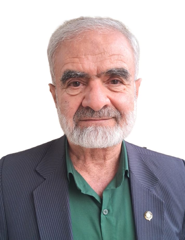وکیل علی احمدی
