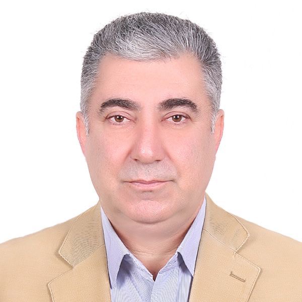 وکیل علی اکبر محمدی