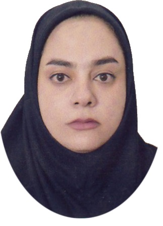 وکیل فائزه ابراهیمی