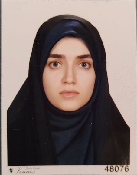 وکیل فائزه محمدی