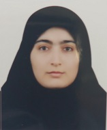 وکیل فاطمه بیگلری