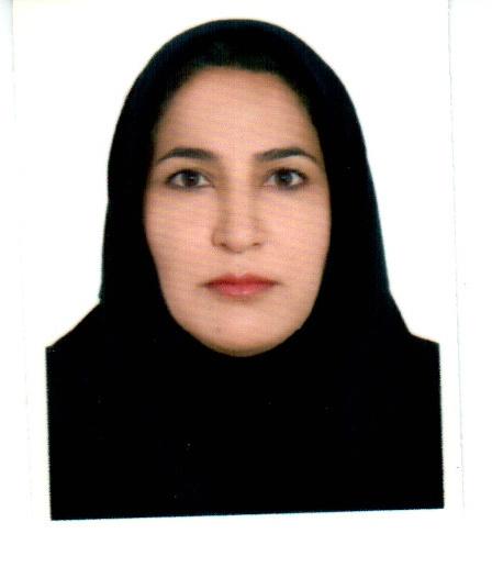 وکیل فاطمه سلاجقه