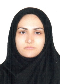 وکیل فاطمه لولویی