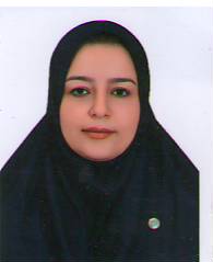 وکیل فاطمه مهدی نیا