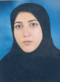 وکیل فاطمه میرزای کاشانی