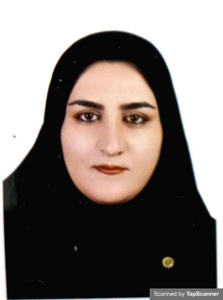 وکیل فرزانه محمدی
