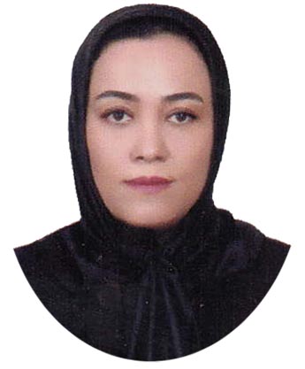 وکیل فرزانه میرزارسولی