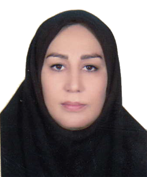وکیل فرزانه پیرمرادلو