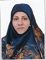 وکیل فهیمه مسعودی