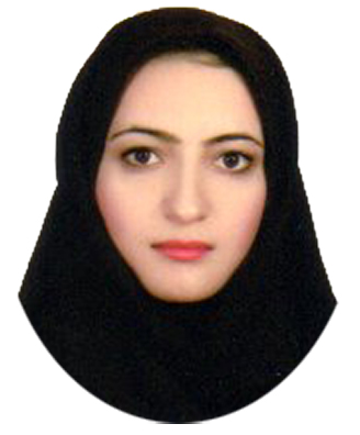 وکیل لیلا ابراهیمی