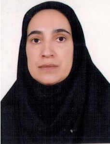 وکیل لیلا زحمتکش