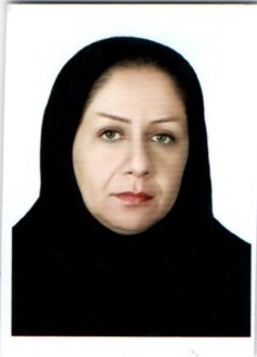 وکیل لیلا محمدیان