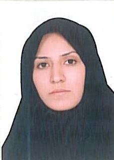 وکیل لیلا منصوری لطفعلی