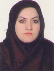 وکیل لیلی خاکی
