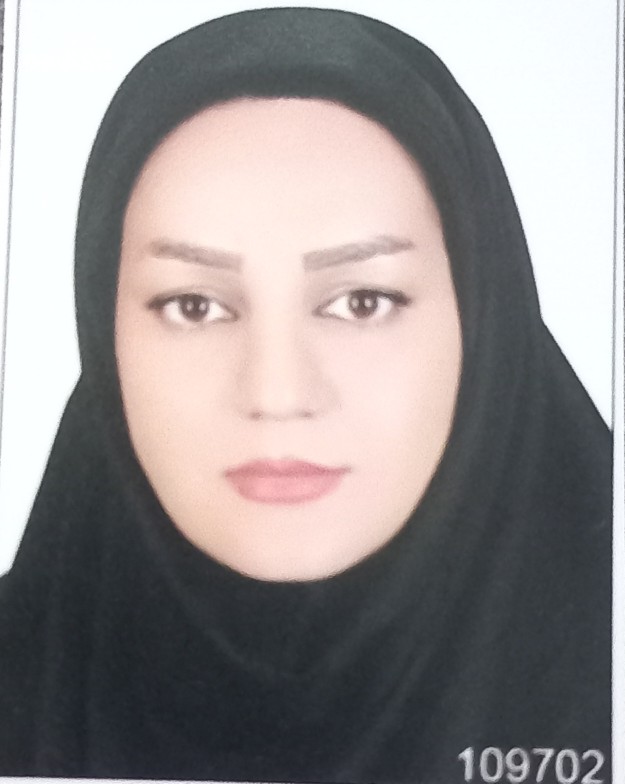 وکیل ماهلین رضائی