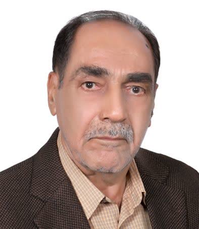 وکیل مجید روحی