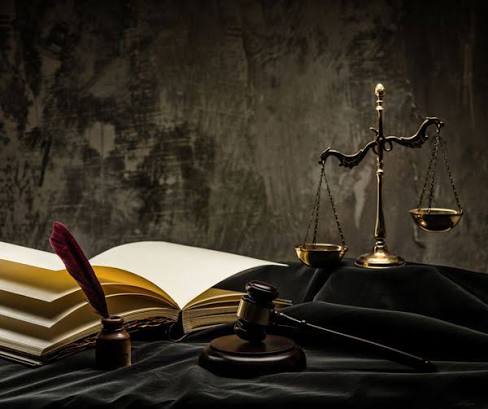 وکیل محبوبه قاسمی