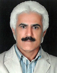 وکیل محمد زمان قربان امرجی
