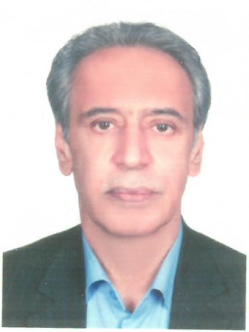 وکیل محمدرحیم طیبی میگونی