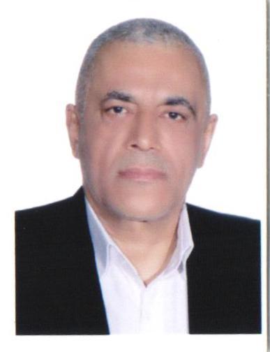 وکیل محمدعلی امینی فر
