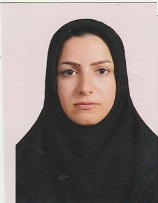 وکیل مرضیه صفرزاده