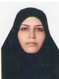 وکیل مریم آقایی بجستانی
