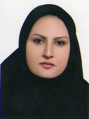 وکیل مریم برزگر