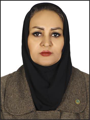 وکیل مریم رجبی