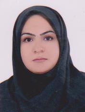 وکیل مریم رستمی