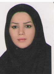 وکیل مریم سادات مزینانی