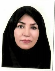 وکیل مریم سالاری
