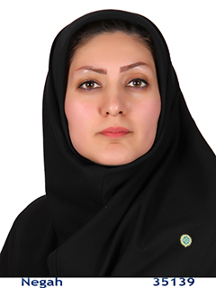 وکیل مریم سقطچی زنجانی