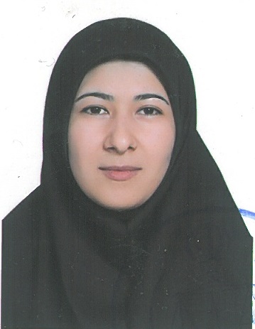 وکیل مریم عزیزی